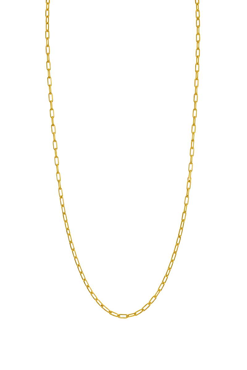 Fine Paperclip Chain Necklace - Yellow Gold